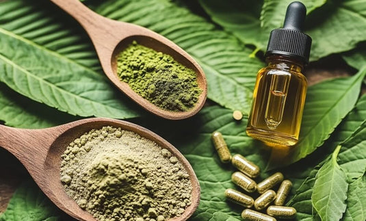 Kratom Extract vs Powder: What’s the Best Fit for You? Kratom Extract vs Powder: What’s the Best Fit for You?